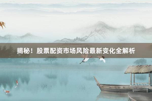 揭秘！股票配资市场风险最新变化全解析