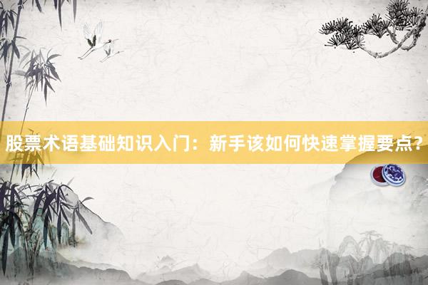 股票术语基础知识入门：新手该如何快速掌握要点？
