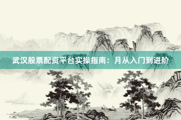 武汉股票配资平台实操指南：月从入门到进阶