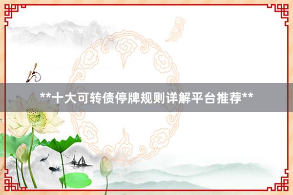 **十大可转债停牌规则详解平台推荐**