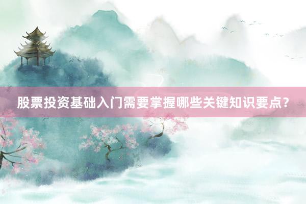 股票投资基础入门需要掌握哪些关键知识要点？