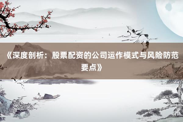 《深度剖析:股票配资的公司运作模式与风险防范要点》