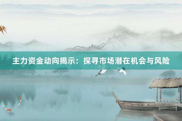 主力资金动向揭示：探寻市场潜在机会与风险