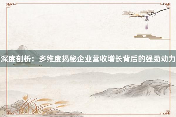 深度剖析：多维度揭秘企业营收增长背后的强劲动力
