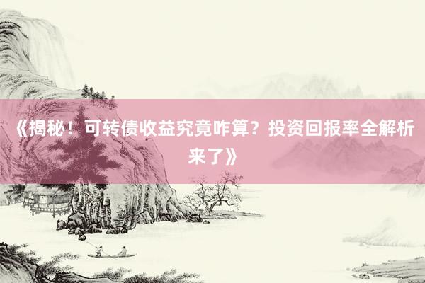 《揭秘！可转债收益究竟咋算？投资回报率全解析来了》