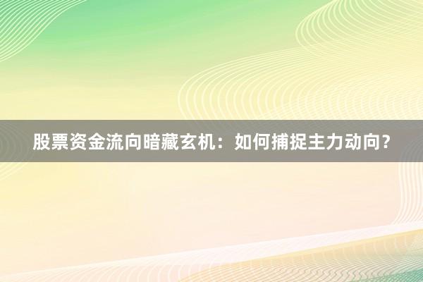 股票资金流向暗藏玄机：如何捕捉主力动向？