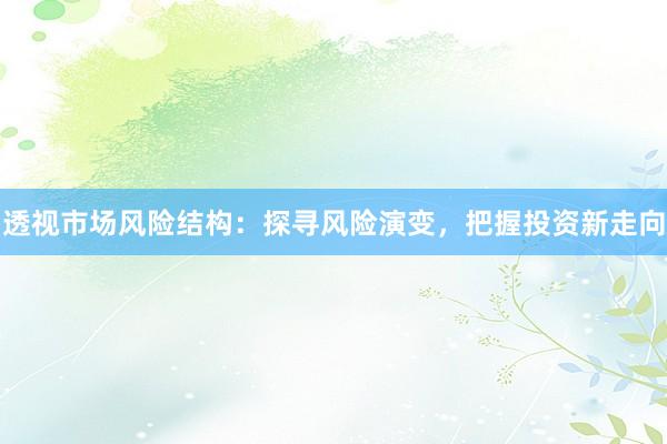 透视市场风险结构：探寻风险演变，把握投资新走向