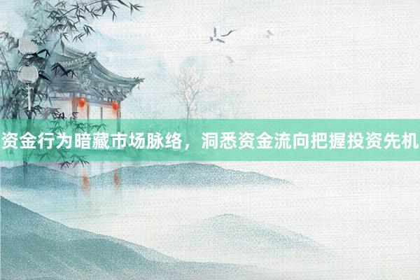 资金行为暗藏市场脉络,洞悉资金流向把握投资先机