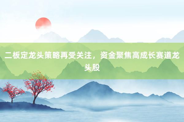 二板定龙头策略再受关注，资金聚焦高成长赛道龙头股