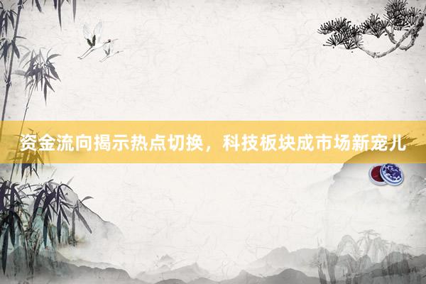 资金流向揭示热点切换，科技板块成市场新宠儿