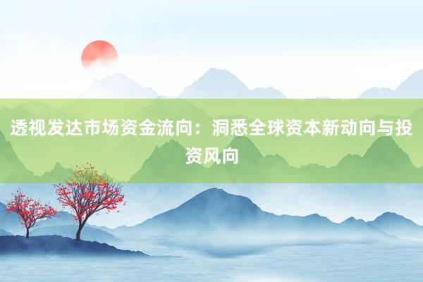 透视发达市场资金流向：洞悉全球资本新动向与投资风向