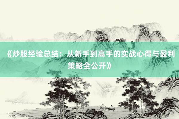 《炒股经验总结:从新手到高手的实战心得与盈利策略全公开》