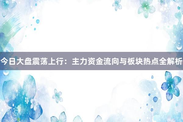 今日大盘震荡上行：主力资金流向与板块热点全解析