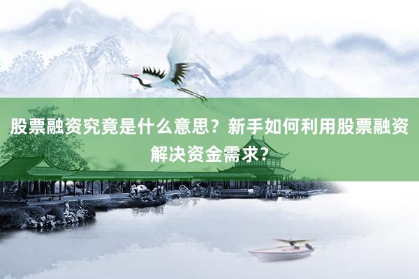 股票融资究竟是什么意思？新手如何利用股票融资解决资金需求？