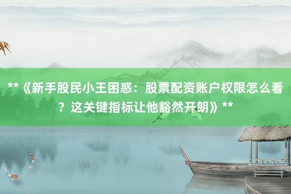 **《新手股民小王困惑：股票配资账户权限怎么看？这关键指标让他豁然开朗》**