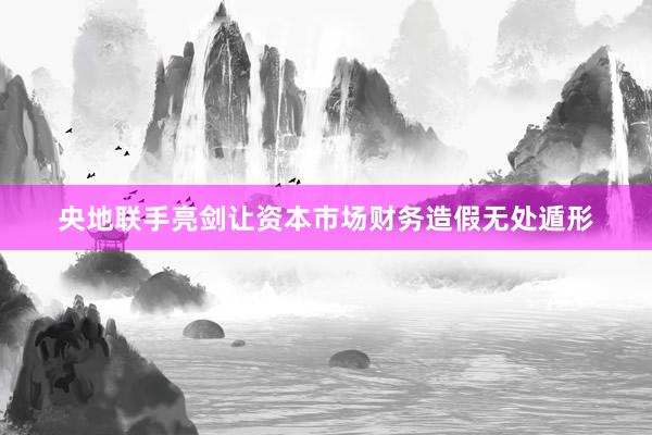央地联手亮剑让资本市场财务造假无处遁形